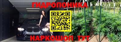 apvp Татарск