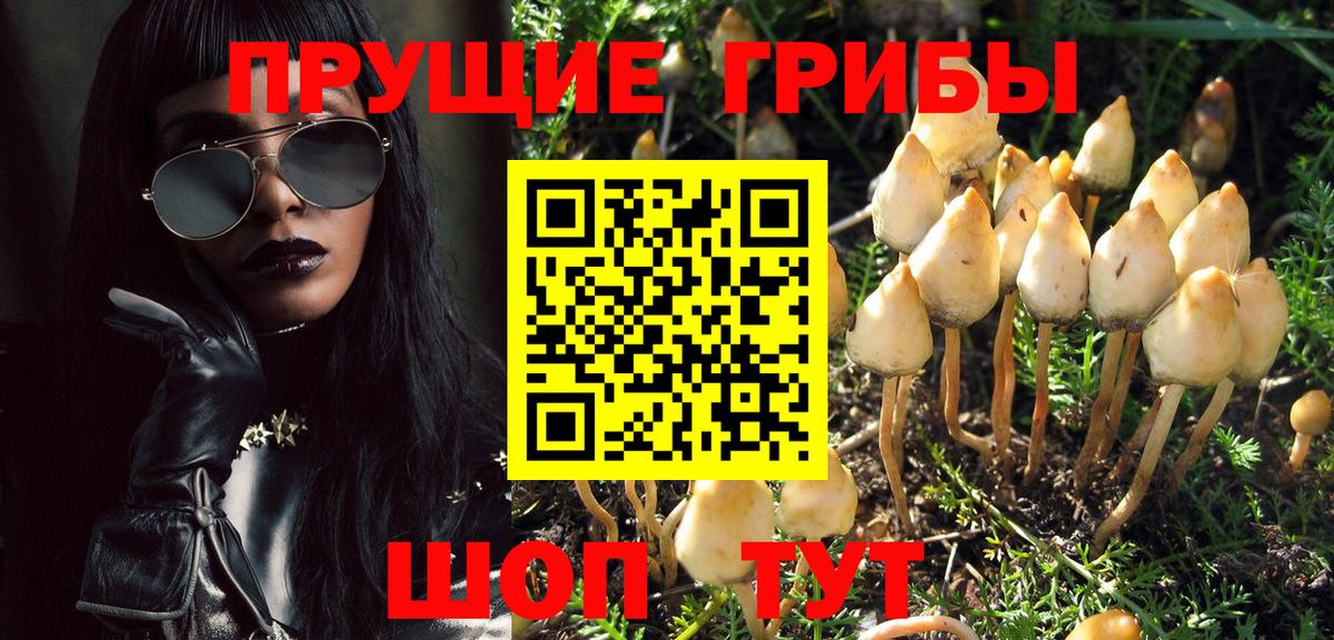 наркота  Вход с VPN  Нововоронеж  Галлюциногенные грибы Cubensis  Галлюциногенные грибы прущие грибы 