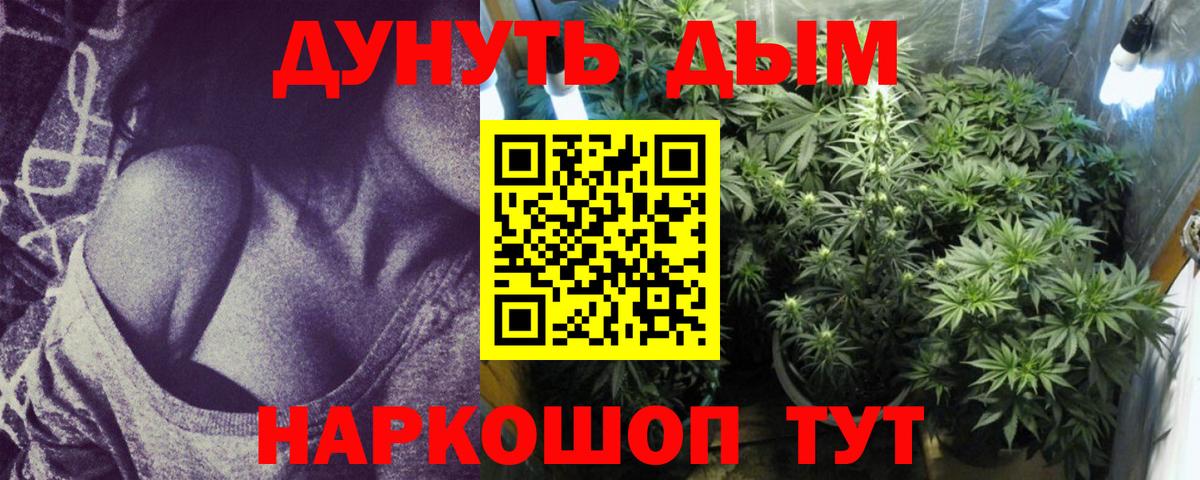 Нововоронеж  МАРИХУАНА конопля  Марихуана ГИДРОПОН  Вход с VPN  Каннабис тримм 